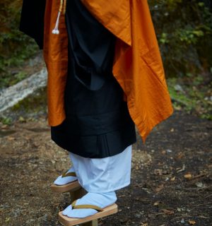 0238geta3 (1)